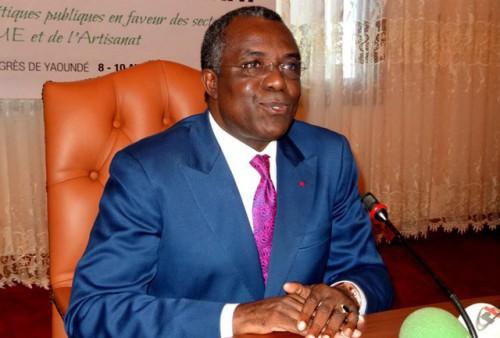 Cameroon: “If SMEs were contributing 50% of GDP, we would already be an emerging country,” says Etoundi Ngoa