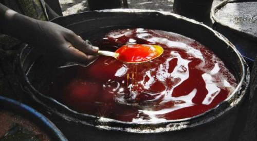 Cameroon to import 100,000 tons of crude palm oil from Gabon and Indonesia in 2018