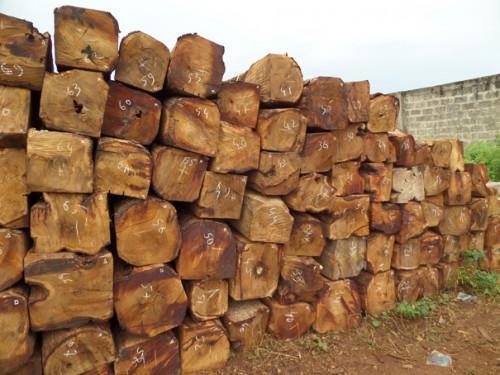Cameroon remains largest sawn wood exporter to the EU (186,500 tons), in late September 2018