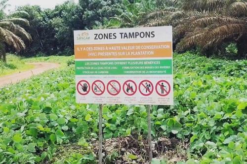 Cameroon: Local communities initiate actions against SAFACAM’s RSPO certification