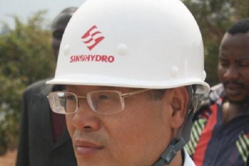 Cameroon: Chinese Sinohydro exits the Bini à Warak dam site