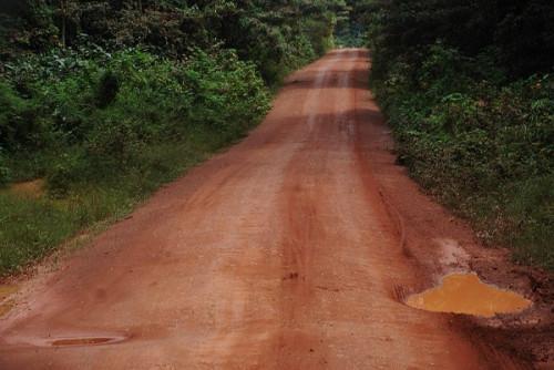 Infrastructure: Six consulting firms shortlisted for studies in the framework of a 270km road connecting Cameroon and Congo