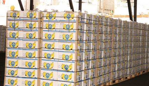 Cameroon: Banana exports fell 21.3% YoY in Sep. 2022