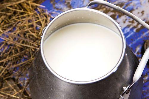 Cameroon: The EU boosts daily milk processing capacity by 2k liters in the north with a XAF6.5 bln program