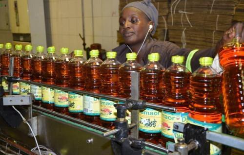 Cameroon: 90% of companies have difficulty in selling products because of the coronavirus (INS survey)
