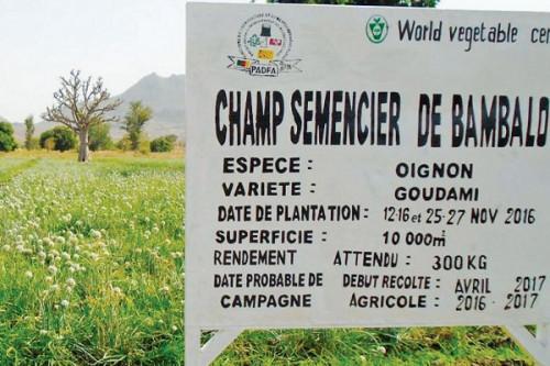 Cameroon: Govt plans to sell 47 seed farms to the private sector