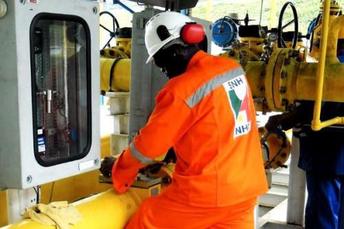 Domestic gas: Bipaga gas depot helped Cameroon save XAF25 bln+ in 2018-2020