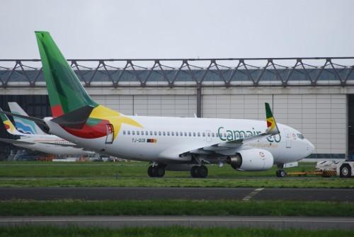 Camair-Co: Board remains undecided on calling private capital