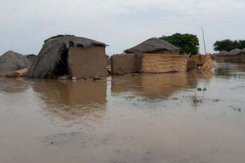 Cameroon : Floods and elephants destroy over 11,000 tons of cereals in the Mayo-Danay
