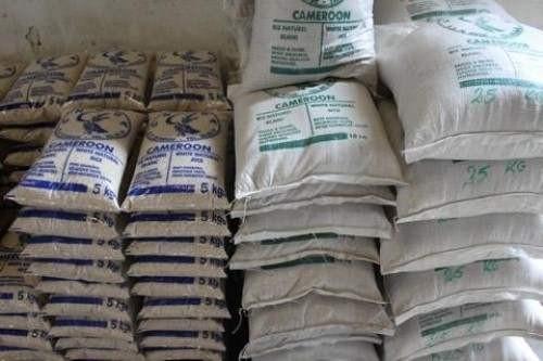Cameroon launches the promotion of local rice to stimulate consumption 