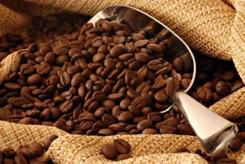 Cameroon: Robusta coffee price rose to multi-month highs in May 2021, as demand keeps growing