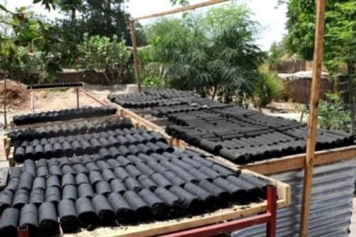 UNDP empowers Maroua women with eco-friendly charcoal production unit