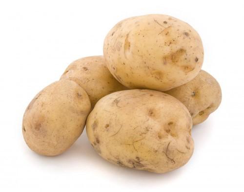 Call for tenders to create a potato-processing plant in Cameroon