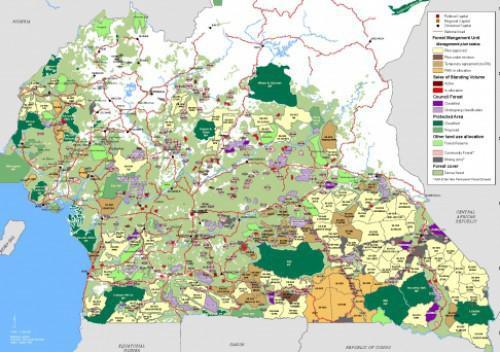FCfa 2.4 billion to improve the management of forested areas in Cameroon