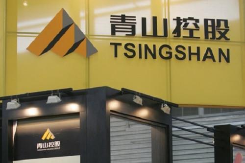 Chinese Tsingshan bids for Mbalam iron output
