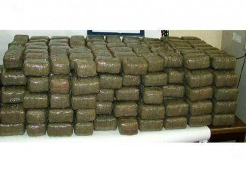 More than 200 kg of cannabis seized on the road of the Extreme-North in Cameroon