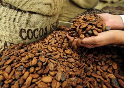 Cameroon: Export revenues fell by 16.8% in H1 2018, crippled by cocoa-coffee sector