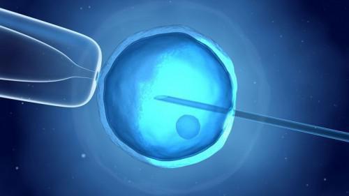 The endoscopic surgery and human reproduction research centre of Cameroon delivers its first test-tube babies