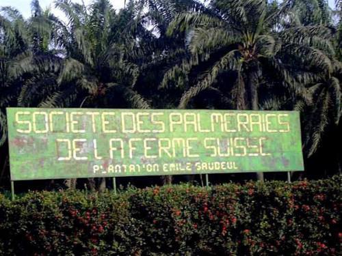 Cameroon: the net result of the Société des palmeraies de la ferme suisse registered “an important drop” during the 1st quarter 2016