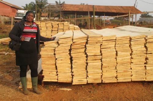 Cameroon: the FAO-EU Flegt program helped local SMEs acquire 2,000 m3 of legal timber between 2019 and 2020 (FAO)