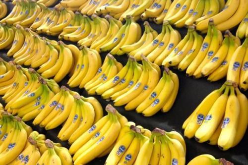 Cameroon : Despite CDC’s activity shutdown, banana exports have been more dynamic in 2019 than in 2018