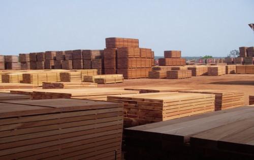 High taxes affect the Cameroonian wood on Chinese markets