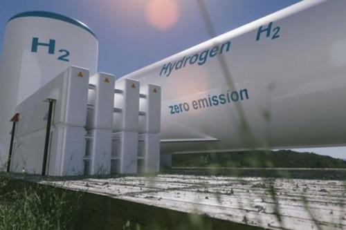 Cameroon eyes local green hydrogen production