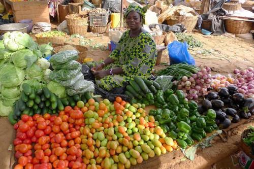 Cameroon: General price level was boosted by food products in Jan-Sep 2020  (INS)