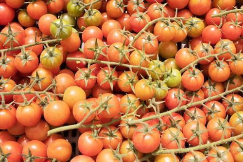 Cameroon : the EU elaborates more stringent phytosanitary rules for exporters