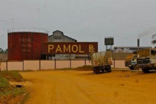 Anglophone crisis: State firm Pamol shed 1,688 jobs in 2018-2020
