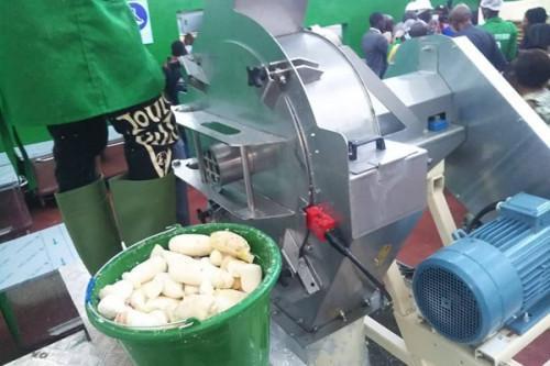 Ngoulemakong inaugurates first of eight cassava processing plants in 2024 initiative