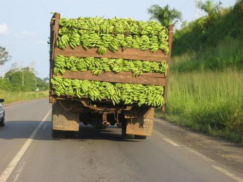 With drop in exports of bananas of 30,000 tons in 2016, Cameroon passes back African leadership to Côte d’Ivoire