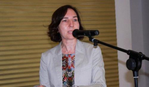 Cameroon: Nachtigal Dam will reduce electricity generating cost, says Elisabeth Huybens