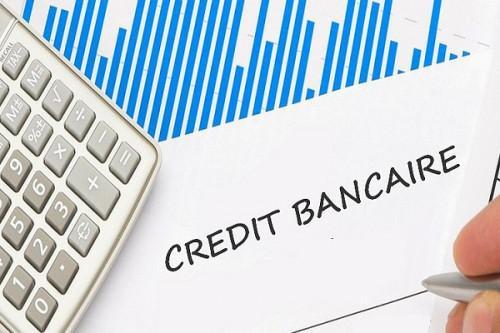 Cemac: Bank credit supply to large companies down 18.2% YoY in Q3 2022