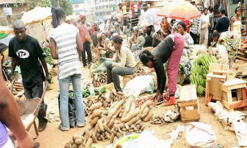 Cameroon to adopt a food security law to ensure protection of consumers