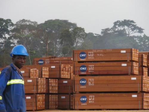 Dutch logger Wijma closes one of its sawmills in Cameroon