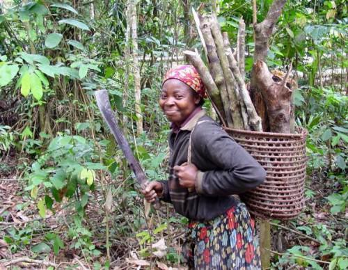 Cameroon committed to restoring 12 million hectares of cleared forests by 2030