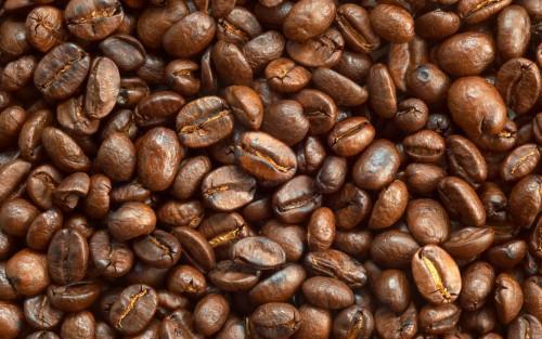 Synergie Nord Sud enters the international market with 4,645 tons of coffee ordered by US and Senegalese companies