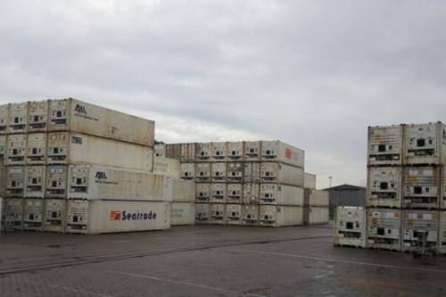 Govt renews fruit terminal equipment at Port of Douala