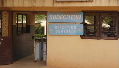 Cameroon: Sodecoton reports record cotton production of 309,000 tons in 2018-19