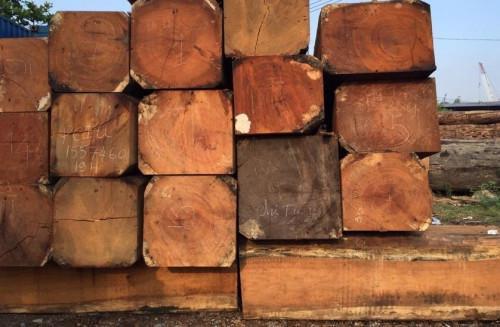 Cameroon: Sawn wood exports to Europe fell by 8% in H1 2018