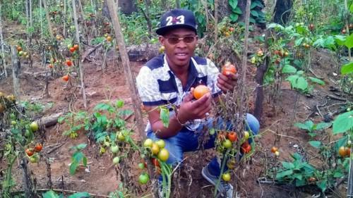 FCfa one billion to set up young Cameroonian farmers in 2017
