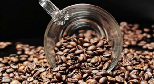 Cameroon exported 35,215 tons of coffee during the 2018-2019 season, up 39.1% season-over-season