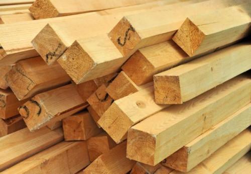 Cameroon: BEAC forecasts revival of sales and production in the logging sector