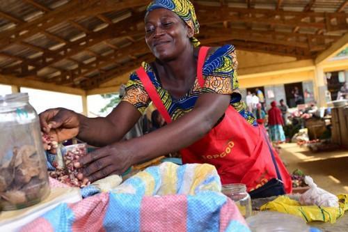 Cameroon: Decline in household incomes was more pronounced in Yaoundé and Douala in 2021 (INS)