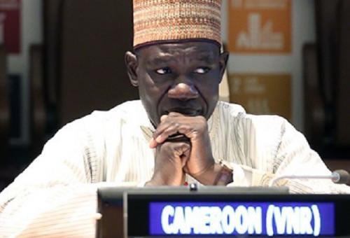 Alamine Ousmane Mey pleads for more investments in Africa’s private sector, from the IMF and the World Bank
