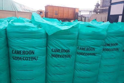 Cameroon: Sodecoton boosts equity by XAF29 bln in 2021 by shipping 2020 stock leftovers