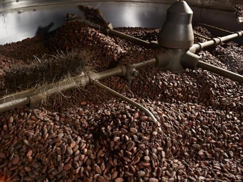 Cameroon: Sic Cacaos, Neo Industry and Atlantic Cocoa could lose CFA11 billion, on Anglophone crisis