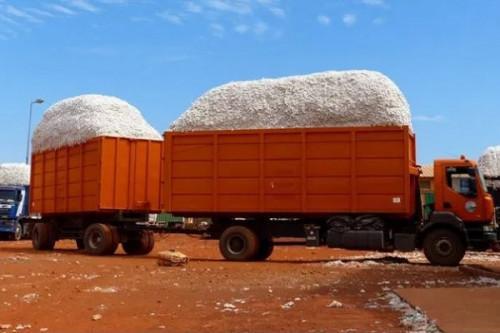 Cameroon: Cotton development corporation Sodecoton expects a 13 Ktons season-to-season rise in seed cotton production during the 2021-2022 campaign