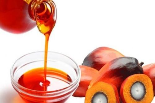 Cameroon: The official palm oil deficit rises to 160 kilotons